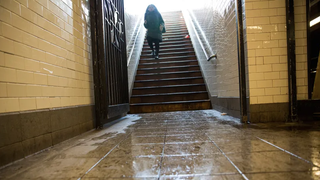 Mother Who Died After Falling Down Subway Steps Likely Had a Pre-existing Medical Condition